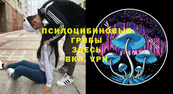 ПСИЛОЦИБИНОВЫЕ ГРИБЫ Нея