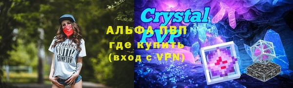 PSILOCYBIN Болотное