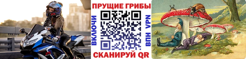 купить закладку  Кисловодск  Галлюциногенные грибы Cubensis 