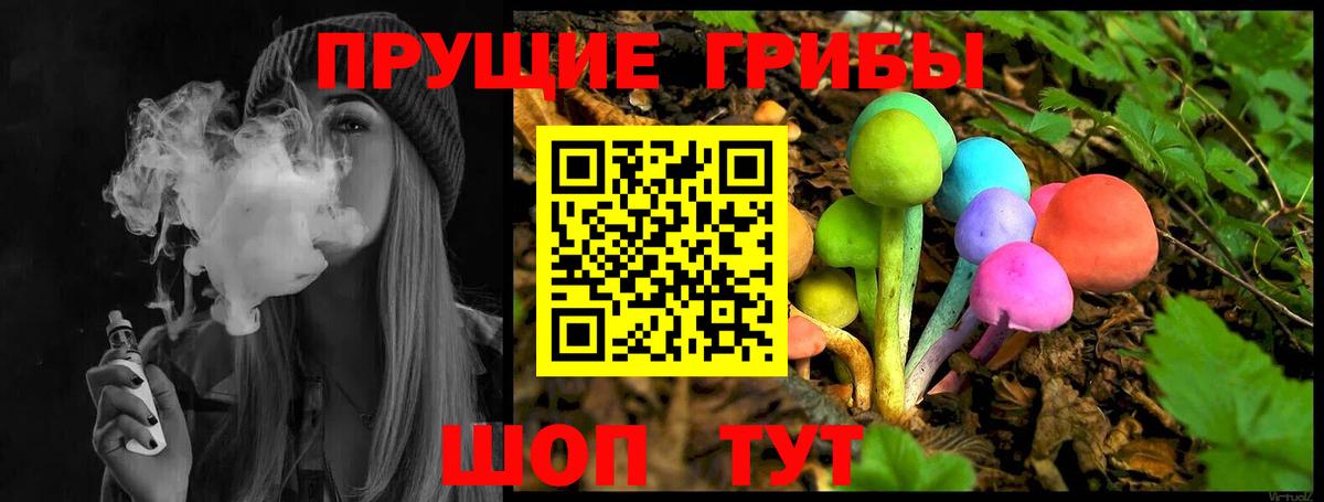 Кисловодск  Псилоцибиновые грибы MAGIC MUSHROOMS  Галлюциногенные грибы Psilocybe  Вход с VPN 